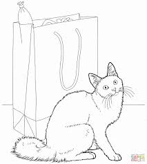Kristin rogers photography / getty images most owners recognize their special cats have a distinct cat personality. Brilliant Photo Of Nyan Cat Coloring Pages Entitlementtrap Com Cat Coloring Page Owl Coloring Pages Kitten Coloring Book