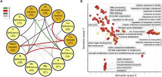 (1)department of applied biological science, tokyo university of science, noda, chiba, japan. The Nutrient Response Transcriptional Regulome Of Arabidopsis Sciencedirect