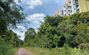 Its first occupants moved in during the 1960s—tanglin halt's flats were completed between 1962 and 1963—and its atmosphere is best described as exuding the original. Tanglin Halt Green Corridor Wessex Estate From Tracks To The Water Tower Little Day Out