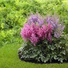 The most important thing is to know the plants well before you plant them: Perennial Flowers For Shade Gardens Hgtv