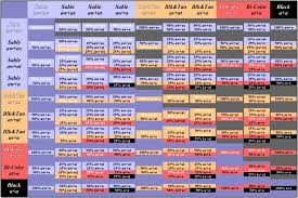 Human Hair Color Genetics Chart Google Search Human Hair Color Hair Genetics Genetics
