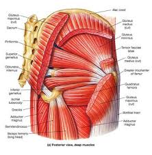 Your hips may be one of the most important areas of your body that you want to keep strong and flexible. It S Difficult To Exaggerate The Importance Of Hip Flexibility And Strength For Every Athletic Activity