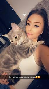 Lost Cat Kirby in Gadsden, AL near 340 S 11th Street