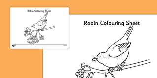 Robin bird in the grass coloring page. Robin Template Themed Colouring Pages Teaching Resource