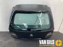 Image result for Brun Guaranja 2011 Citroen