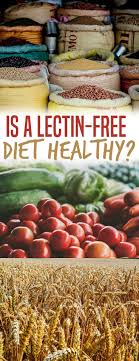 If you're in that situation, consider. Lectin Is The New Gluten Is A Lectin Free Diet Healthy Abbey S Kitchen