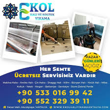 Ekol Hali Yikama Antalya 2020 Antalya Tasarim Fener