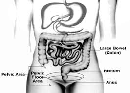 Image result for Chronic Constipation