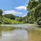 Forests & Watersheds with Project WET and Project Learning Tree