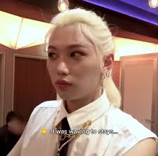 HES JUST LIKE ME 😭😭 #straykids #skztalker #fyp #kpop #edit #skz  #piecesjaunes #concert #djsnake #maroon5 #felix #France #paris