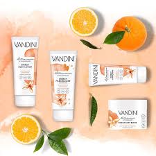 Live events with ticketing software. Vandini