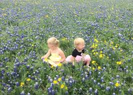Maybe you would like to learn more about one of these? Flowers Picture Of Mckinney Falls State Park Austin Tripadvisor