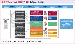 Recommendations are made for management of major cardiovascular risk factors through changes in lifestyle and prophylactic drug therapies. Salt Reduction To Prevent Hypertension And Cardiovascular Disease Jacc State Of The Art Review Journal Of The American College Of Cardiology