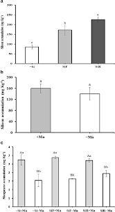 Followed up by a carefully adjusted 6.0ph light nutrient solution, your plants should get back on track. Silicon Mitigates Manganese Deficiency Stress By Regulating The Physiology And Activity Of Antioxidant Enzymes In Sorghum Plants Springerlink