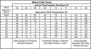 29 skillful army pt temp chart