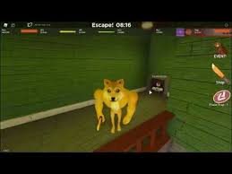 Doge outfit roblox code robux codes. In This Video I Test Out My New Doge Skin In Roblox Bakon Youtube