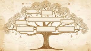 Family Tree" Images – Browse 33,648 Stock Photos, Vectors, and Video |  Adobe Stock