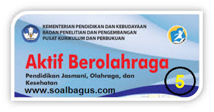 Dengan hadirnya buku materi siswa dan buku pegangan untuk guru materi pelajaran pendidikan jasmani olahraga dan kesehatan. Buku Bse Pjok Kelas 5 Th 2019 Soalbagus Com