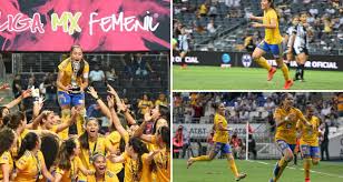 We did not find results for: Campeonas Dos Egresadas Del Tec Se Coronan En Liga Mx Femenil Tecnologico De Monterrey