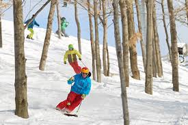 Here are 50 winter activities for kids, guaranteed to cure any cabin fever! Wonderful Winter Activities In Michigan For All Ages Michigan