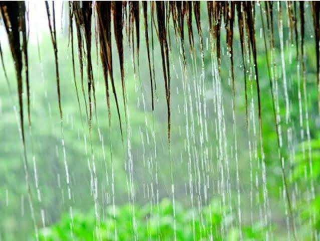 rain update in maharashtra How much rain fell in Maharashtra in last 24 hours | महाराष्ट्रात पावसाची दमदार ओपनिंग, गेल्या 24 तासात 27.7 मिमी पावसाची नोंद