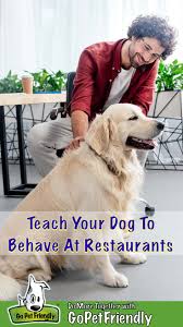 Once you get a table the waitstaff will give your kids pizza dough to play with. Training Your Dog To Behave At Pet Friendly Restaurants