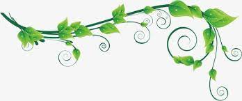 Green Vines Vine Clipart Green Leaf Png Transparent Clipart Image And Psd File For Free Download Clip Art Vines Green
