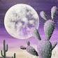 Desert Moon event image