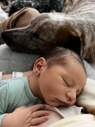 Kate Schreiber's Instagram, Twitter & Facebook