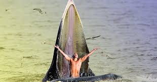 What If You Were Swallowed By A Whale Something Is Lurking In The Water Do You See It Close Calls Like This Happen With Whale Whale Human Body Whiter Skin
