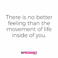 Pin On Pregnancy Quotes