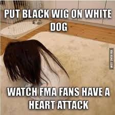 Related Image Fullmetal Alchemist Alchemist Fullmetal Alchemist Brotherhood