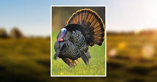 Herbert DeWitt Jr. Obituary January 14, 2020