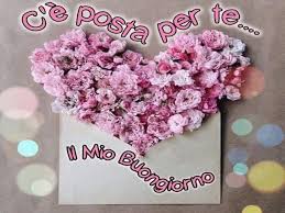 We did not find results for: Buongiorno Con I Fiori Piu Di 60 Immagini E Un Video Da Dedicare Passione Mamma