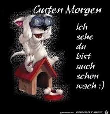 Der richtige spruch am morgen kann einen riesigen unterschied machen, denn nach dem aufstehen wird oft schon unsere ganze ob liebevoll, aufmunternd, witzig oder gedankenvoll, der richtige satz am morgen kann die laune heben und den start in den tag erleichtern. Guten Morgen Bilder Furs Handy Gb Bilder Gb Pics Gastebuchbilder Guten Morgen Lustig Lustige Guten Morgen Bilder Guten Morgen