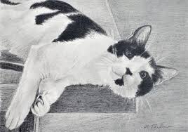 Black And White Cat Pictures To Print Black And White Cat Art Cat Drawing Art Print Black And Etsy Cat Art Cat Art Print Cat Drawing