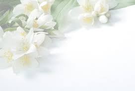 In loving memory of Rufus Owen Edwards Jr.