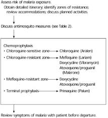 Tell your doctor if you are pregnant or plan to become pregnant. Prevention Of Malaria In Travelers American Family Physician