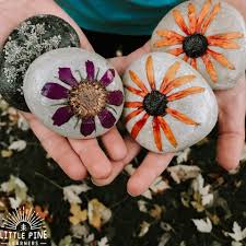 To blot out the flower's moisture, you can use anything that's absorbent a nice way to display your flowers is in a scrapbook format. How To Preserve Flowers For Nature Activities Little Pine Learners