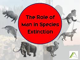 THE ROLE OF MAN IN SPECIES EXTINCTION 
