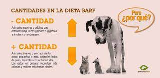 Cantidad De Dieta Barf Barf Alimento Perros Perros Y Alimentos Para Perros
