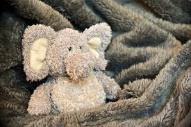 Kuschelelefant nähen freebook / elefantenfamilie kuscheltiere includes free classes on how to zum nähen mit der hand oder mit der nähmaschine. Elefant Nahen Gute Laune Mit Viel Toroo Wunderfaden
