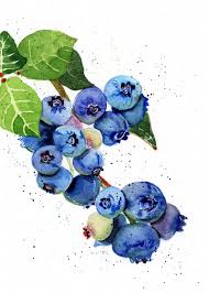 Blueberry Watercolor Art Print Matte Or Linen Paper High Etsy In 2021 Watercolor Art Prints Watercolor Fruit Food Art Painting