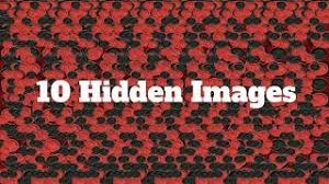 Magic eye puzzles with answers. 10 Hidden Images Magic Eye Magic Eye Pictures Youtube