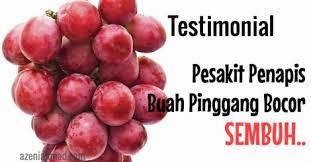 Sakit pinggang termasuk kondisi yang umum terjadi pada siapa saja. Pesakit Penapis Buah Pinggang Bocor Sembuh Tanpa Biopsi Azeniahmad Com