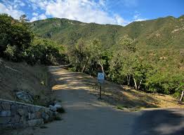 Maybe you would like to learn more about one of these? Old Baldy Trail 372 To Wrightson Summit Az Hikearizona