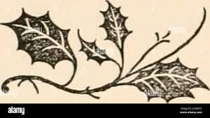 Mrs sarah hi-res stock photography and images - Page 21 - Alamy