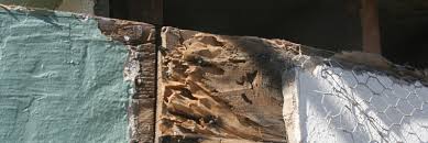 Termite Spot Treatment Using Bora Care And Termidor Termite Defense Products Spot Treat Your New Home For Termites From Shoreline Pest Control In Ventura And Santa Barbara Counties