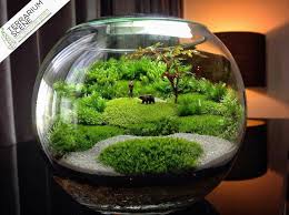 7e0baa6cc40c4e56dd49e230672b353a Jpg 960 716 Pixels Beautiful Terrariums Terrarium Succulent Terrarium