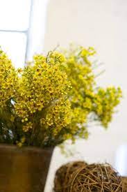 Via Design Sponge Chartreuse It Is Wax Flowers Yellow Flowers Flower Subscription